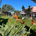 Maison Dans Les Arbres Piscine Clim Luxe ヴィラ *