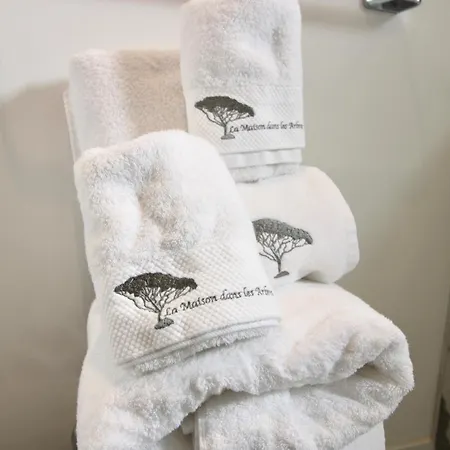 Maison Dans Les Arbres Piscine Clim Luxe ヴィラ