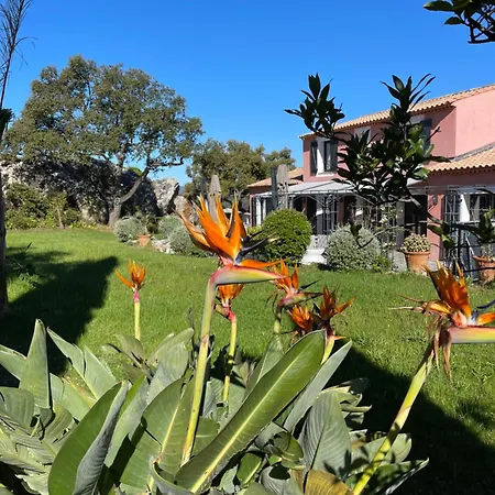 Maison Dans Les Arbres Piscine Clim Luxe Villa *