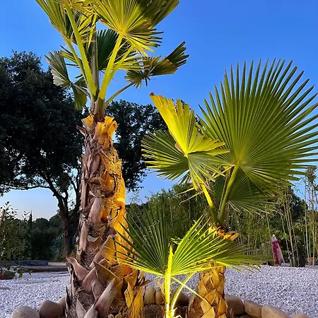Maison Dans Les Arbres Piscine Clim Luxe *