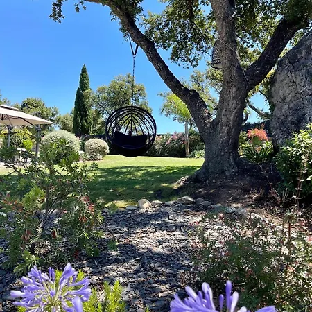 Maison Dans Les Arbres Piscine Clim Luxe Hyeres