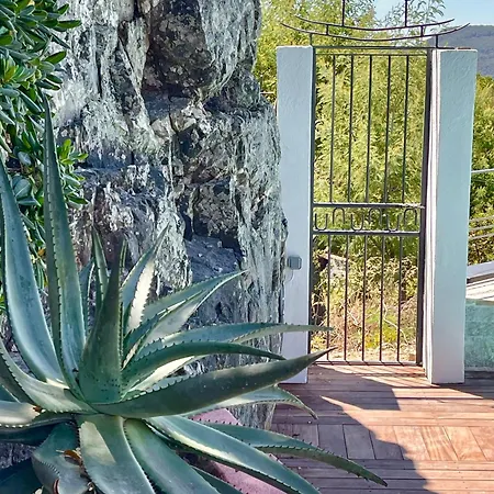 Maison Dans Les Arbres Piscine Clim Luxe