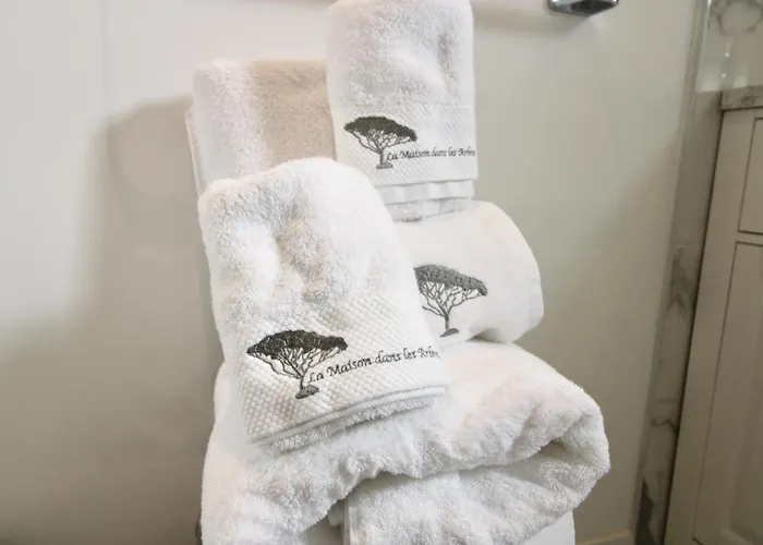 Maison Dans Les Arbres Piscine Clim Luxe Villa