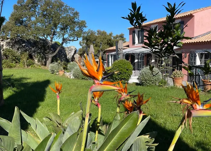 Maison Dans Les Arbres Piscine Clim Luxe Villa *