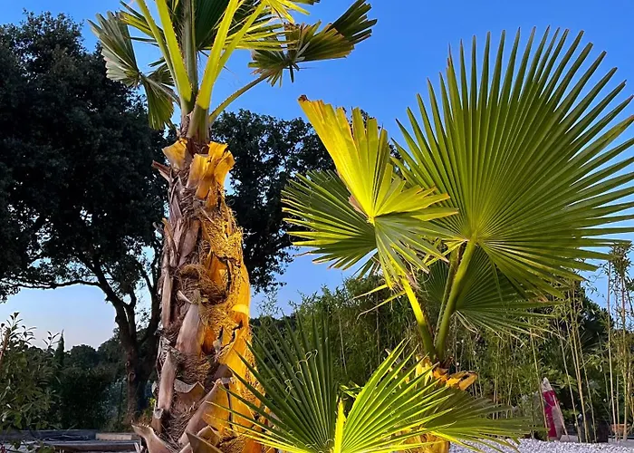 Maison Dans Les Arbres Piscine Clim Luxe *